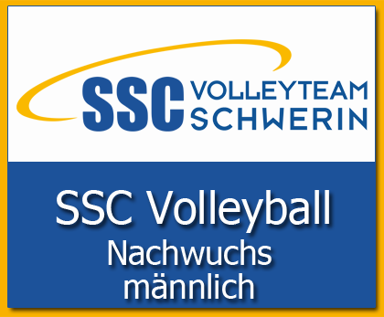 Volleyball Nachwuchs männlich
